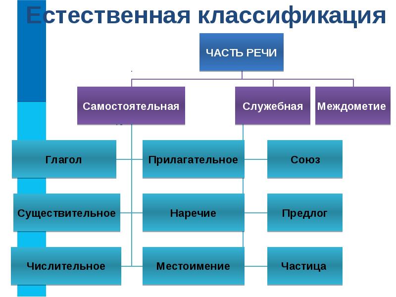 Рассмотрите изображение и классифицируйте их. Рассмотрите изображение и классифицируйте их
