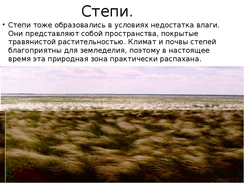 Какие природные условия были благоприятны для земледелия. Степь климат почва.