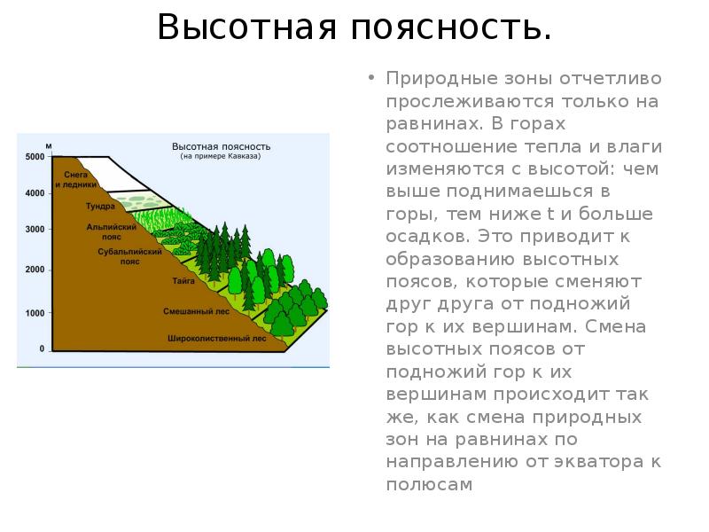 Природная зона россии области высотной поясности