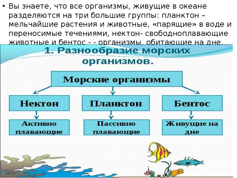 Разнообразие и распространение организмов на земле 6 класс презентация