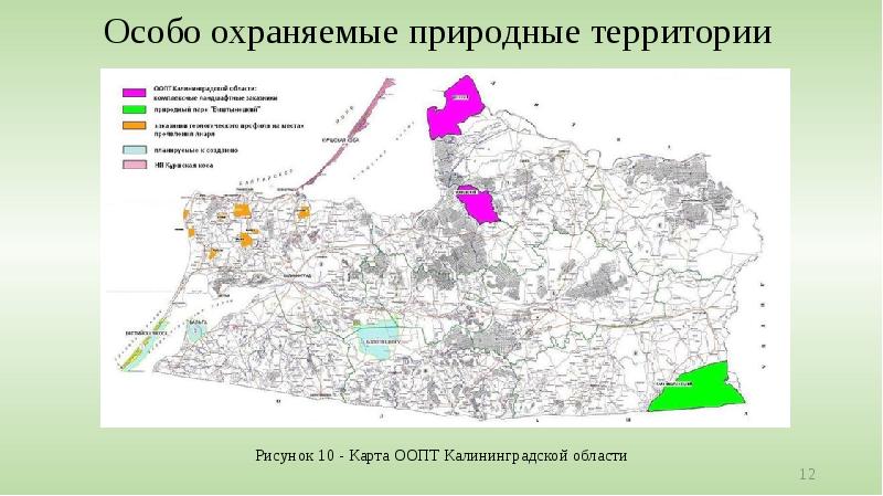 Карта оопт калининградской области