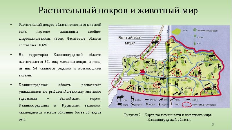 Карта оопт калининградской области