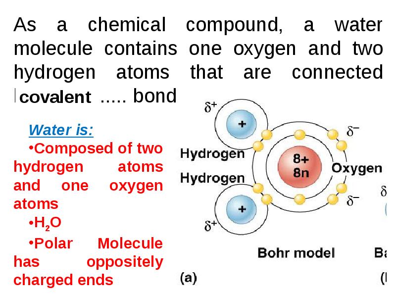 Article and its properties. Article and its properties. Its properties. Combinative. Its properties.