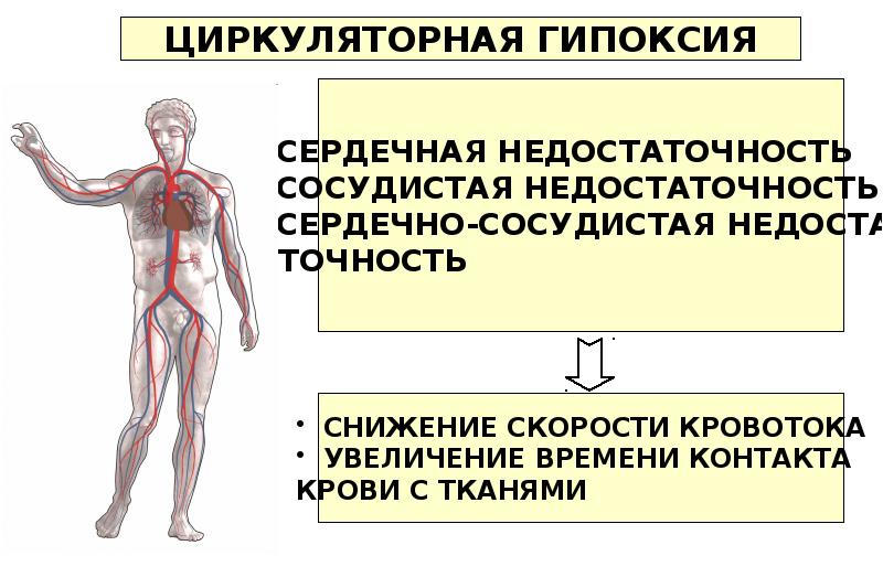 Гипоксия определение