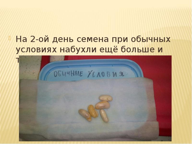 Когда день семена. Семенов день рисунок. Осенины обряд похорон мух и тараканов. Когда день семена. Похороны мух обряд на руси.