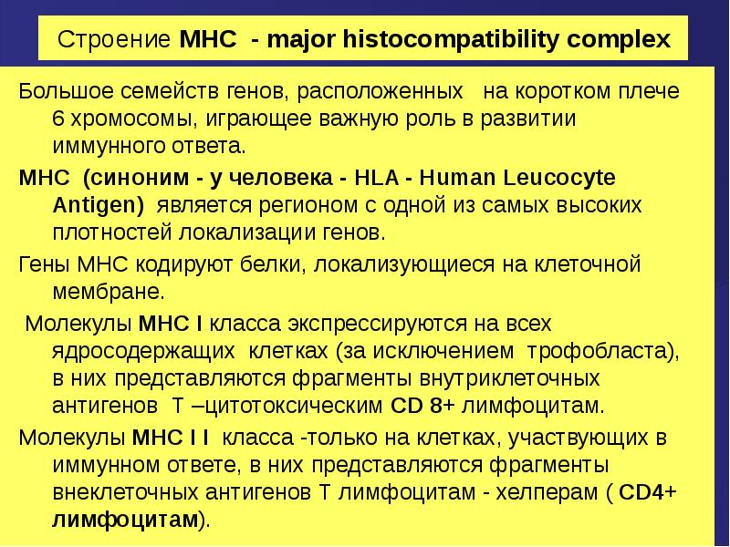 Гены mhc ii класса участвующие в презентации антигена