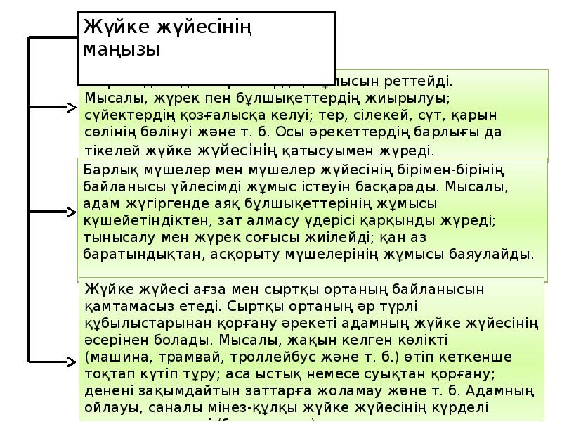 Орталық жүйке жүйесінің құрылысы мен қызметі презентация