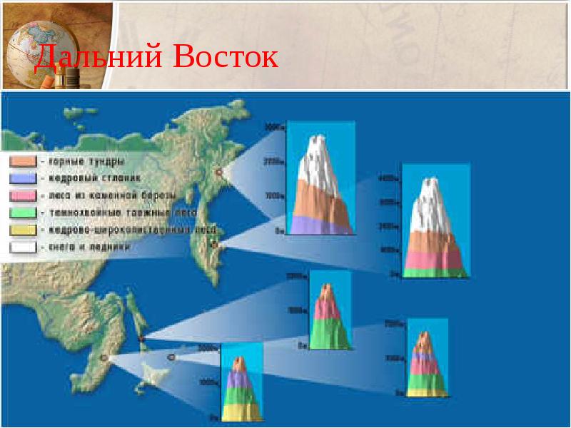 География 8 класс высотная поясность презентация 8 класс география