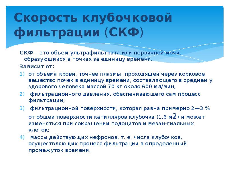 Скорость клубочковой фильтрации