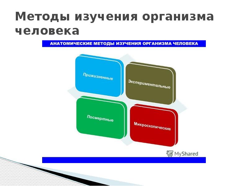 Современные методы изучения организма человека презентация