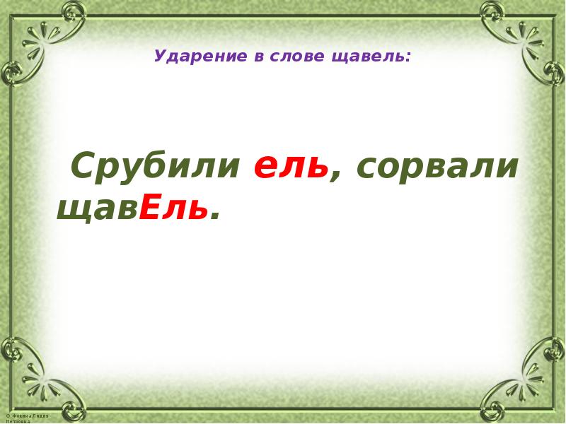 Ударение в слове щавель. Ударение щавель ударение. Срубили ель сорвали щавель. Ударение в слове щавелевый.