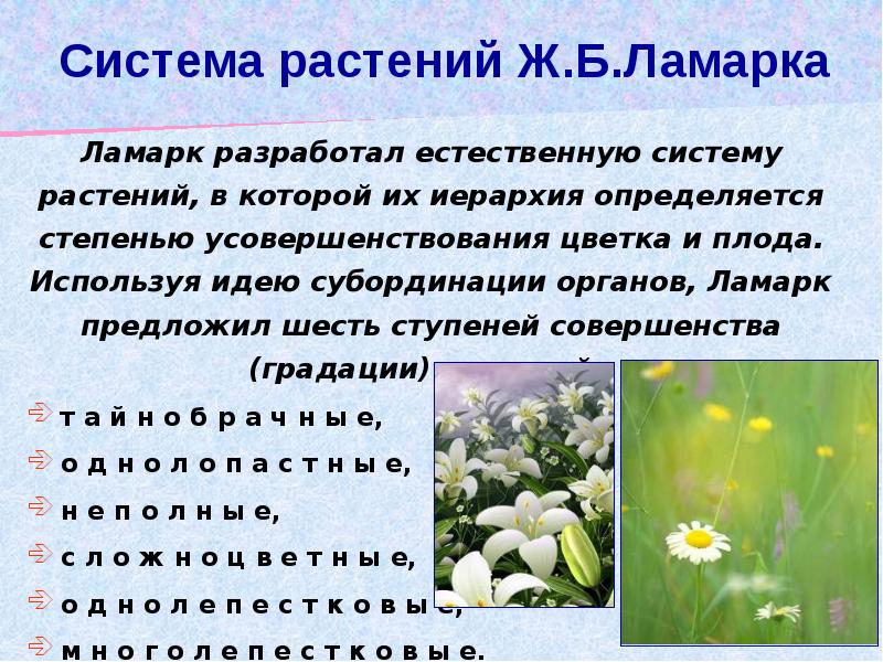 искусственная систематика. классификация органического мра. экологическая система экосистема. систематика царства растений схема. типы природных экосистем.