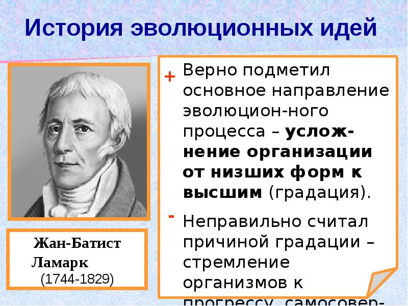 Возникновение и развитие эволюционных представлений презентация