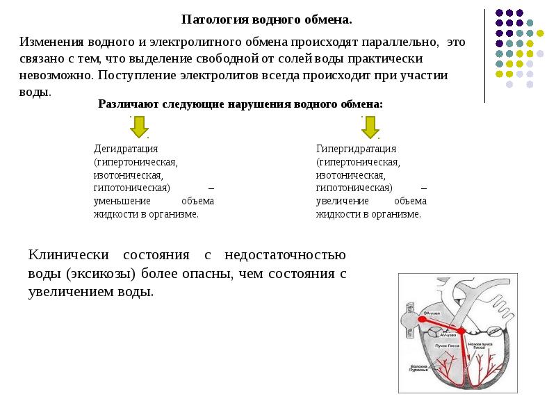 Презентация на тему нарушение водного обмена