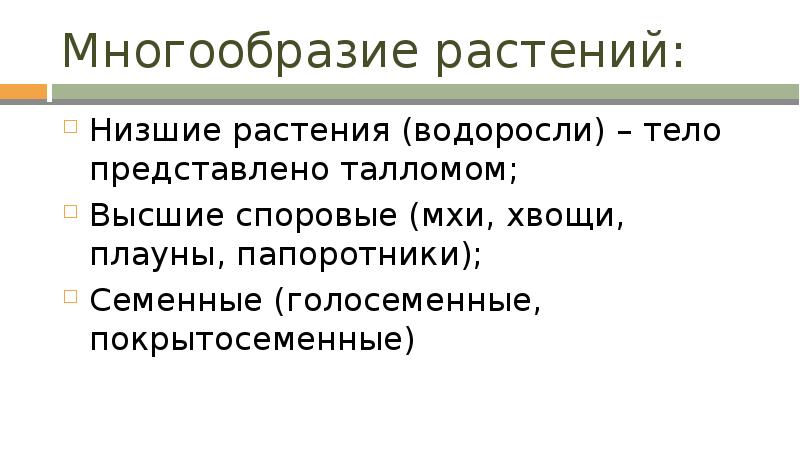 Тело организмов представлено талломом. Тело представлено. Тело представлено талломом.