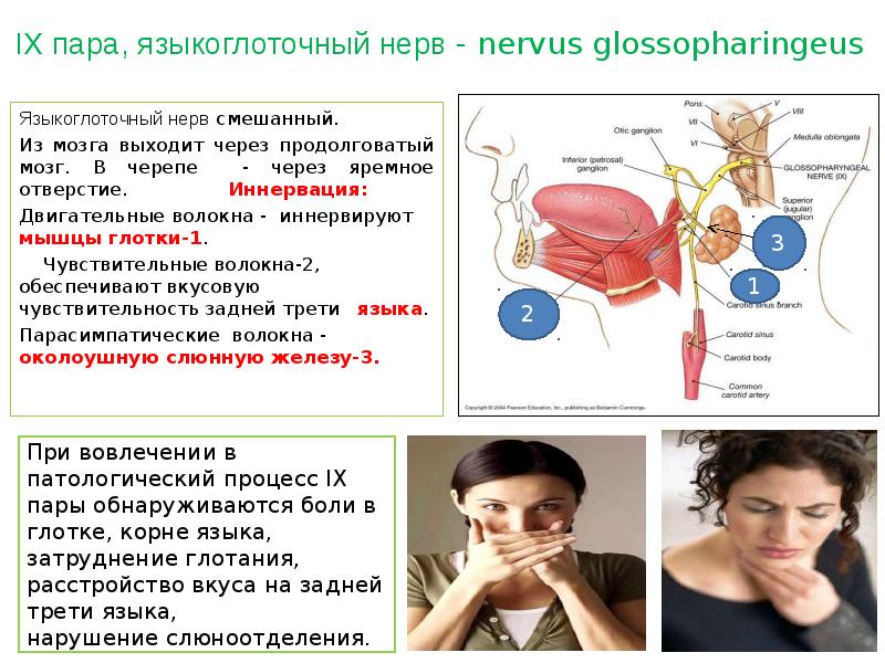 Чем различаются чувствительные исполнительные