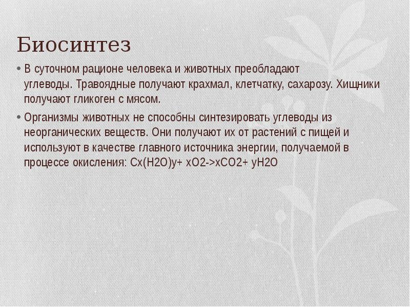 Углеводы синтезируются из неорганических соединений. Из чего синтезируется углеводы у человека.