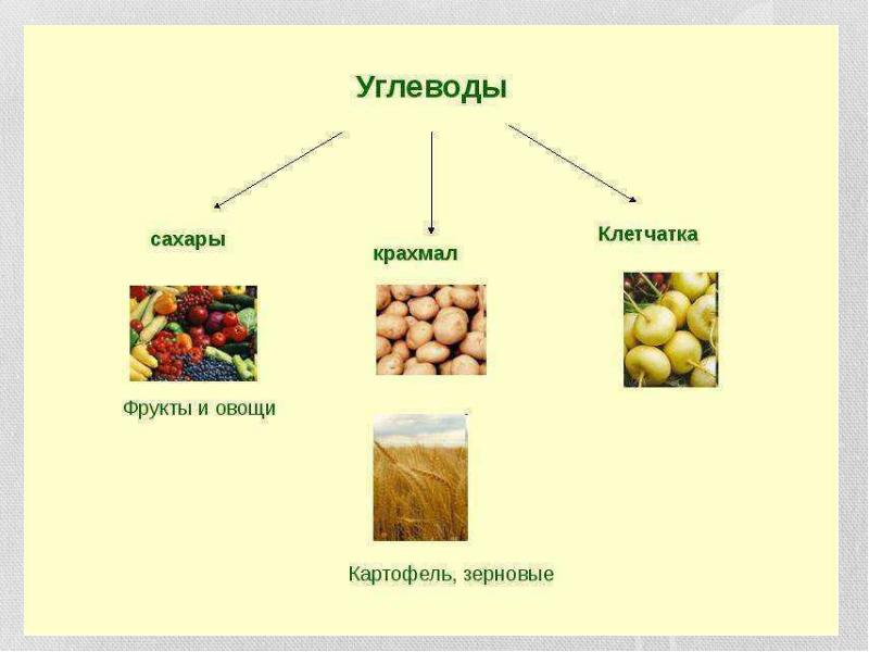 Органическая продукция презентация