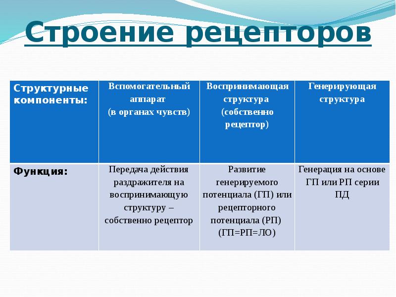 Общий план строения и значение анализатора таблица