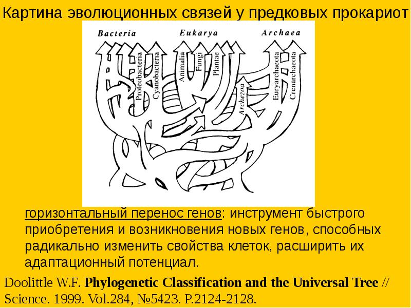 Горизонтальный перенос генов презентация