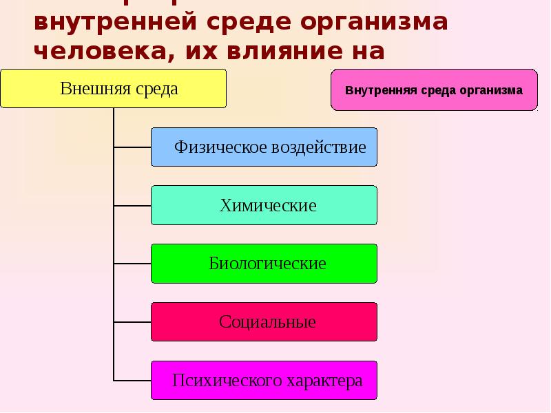 Влияние внешних процессов. Действие факторов внешней и внутренней среды на организм. Внутренняя и внешняя среда организма человека. Внешняя и внутренняя среда человека. Факторы во внешней и внутренней среде организма человека.