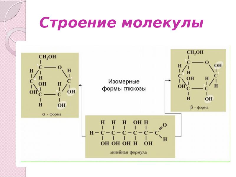 Презентация химия углеводы 9 класс химия