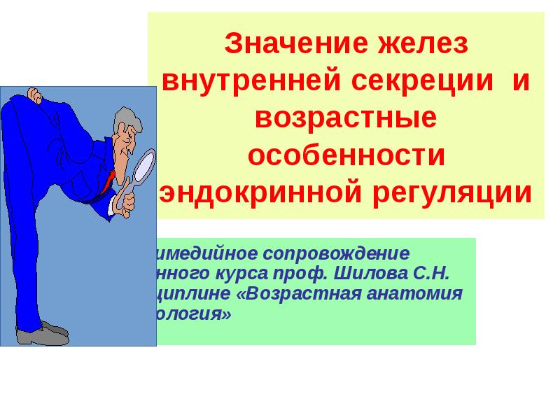 Возрастные особенности желез внутренней секреции презентация