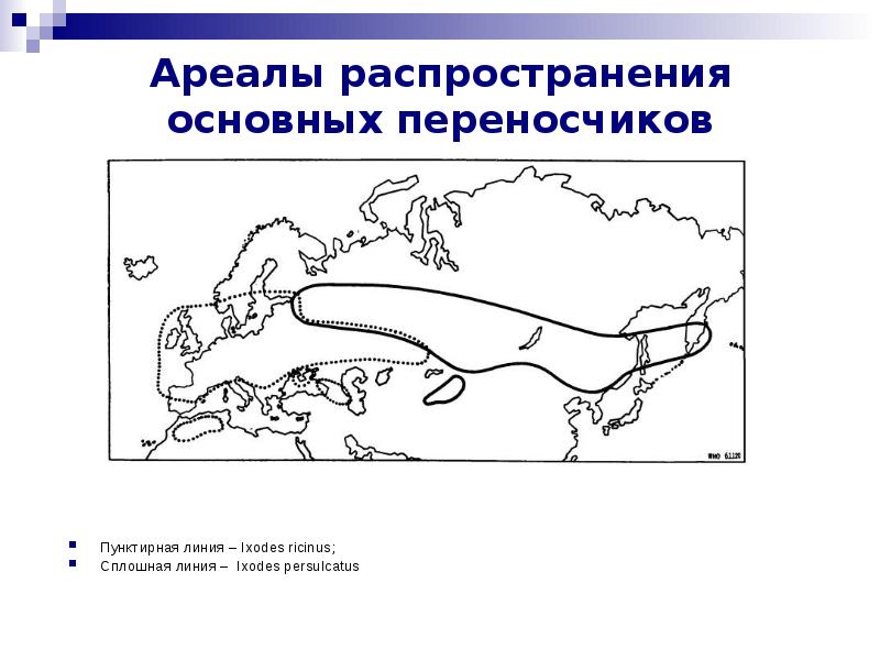 Основные распространение. Ixodes Ricinus ареал. Ixodes persulcatus ареал. Ixodes Ricinus распространение. Ареал Ixodes persulcatus в европейской части СССР.