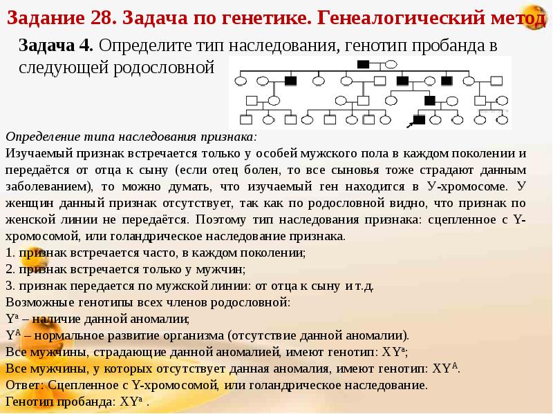 Решение задач по генетике с объяснением и ответами на все типы презентация