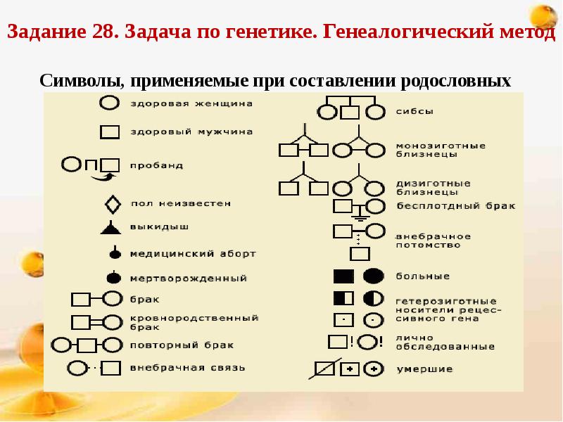 Генетика презентация егэ