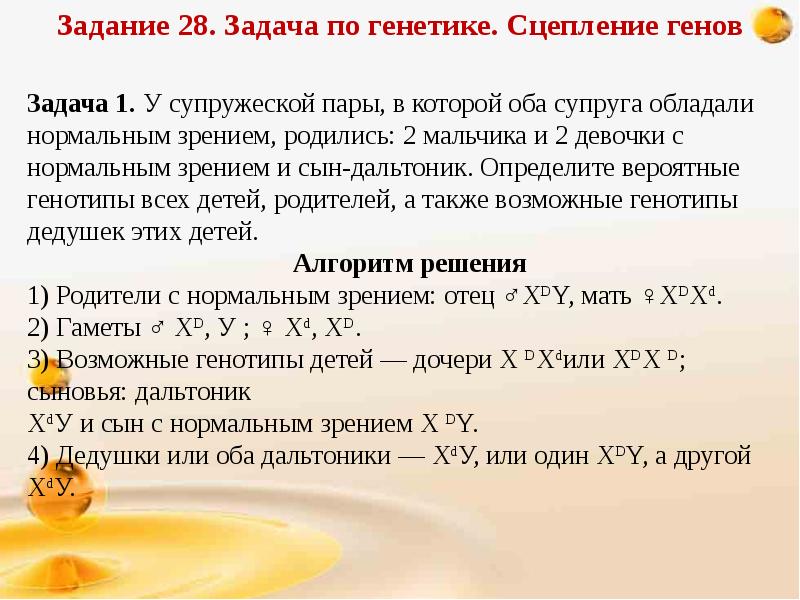 У родителей имеющих нормальную. Задачи на сцепление генов. Задача 28 задача по генетике. ЕГЭ по биологии 28 задание разбор. Задание 28 задачи по генетике все задания.