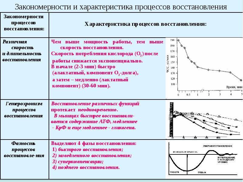 Восстановление это процесс. Характеристика процесса восстановления. Характеристики процесса. Характеристика процесса регенерации. Процесс восстановления примеры.