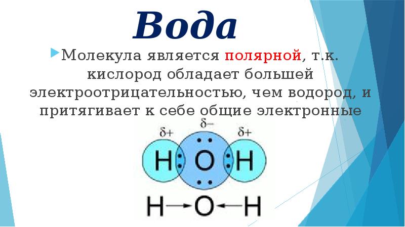 Общие электронные пары в молекуле. Общие электронные пары. Молекула воды электронные пары. Число общих электронных пар в молекуле воды. Электронный пар.