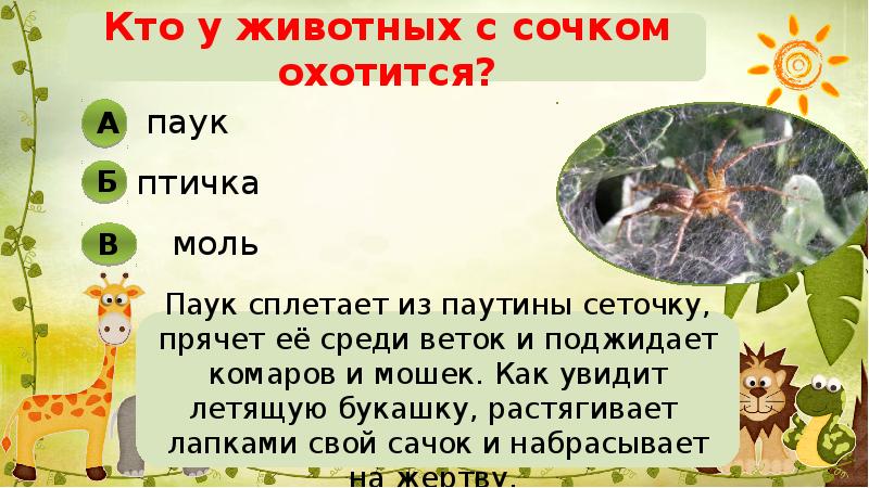 Викторина про животных с картинками