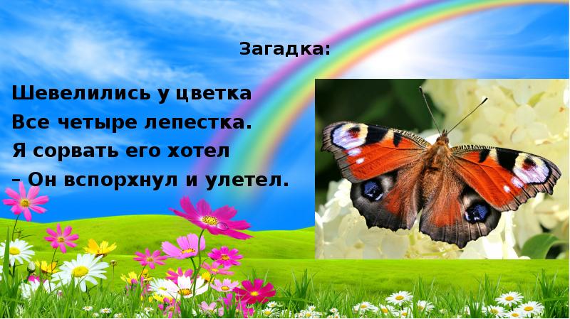 Хозяйка луга картинка для детей