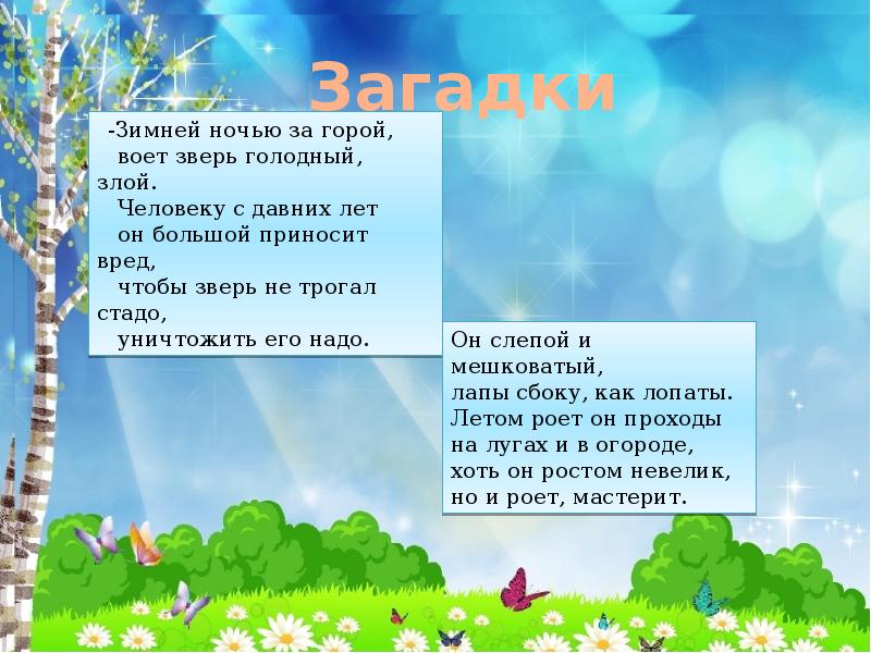 Стих дорожка. Стихи про тропинку в лесу. Стихотворение тропинка. Стих по лесным дорожкам.