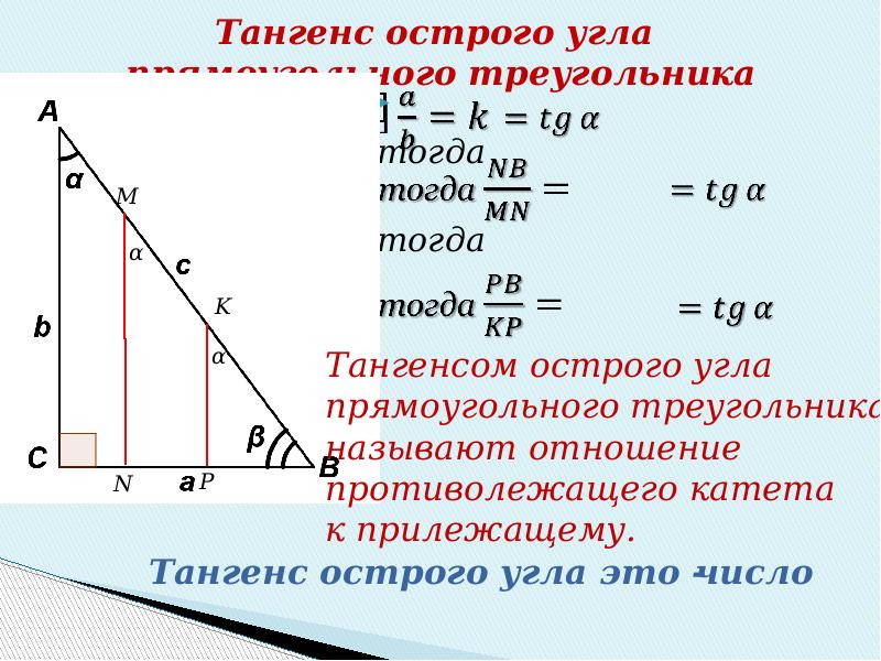 Тригонометрические функции в прямоугольном треугольнике 8 класс
