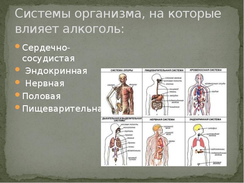 Влияние ароматерапии на организм человека проект