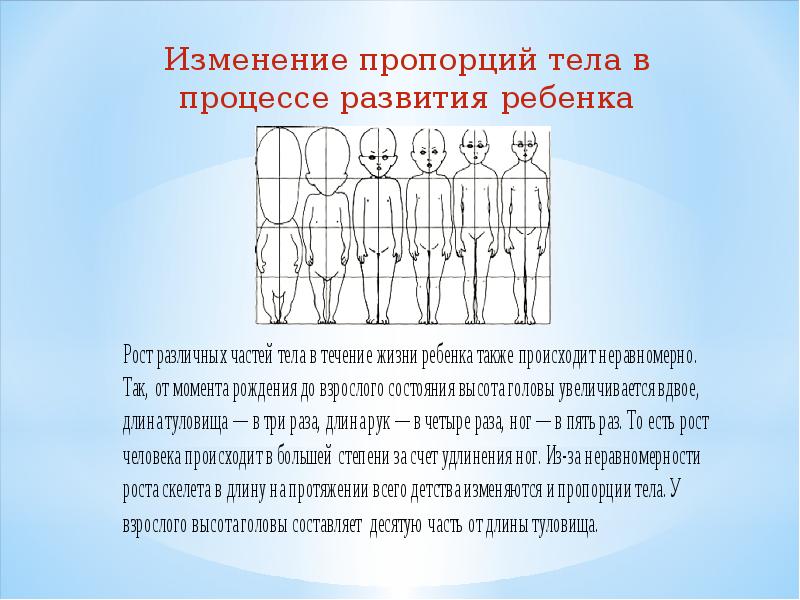 Описание как меняется с возрастом окружающий мир. Изменения пропорций тела ребенка. изменение пропорций тела в процессе роста. изменение пропорций тела с возрастом. изменения пропорций отделов тела в процессе роста человека.
