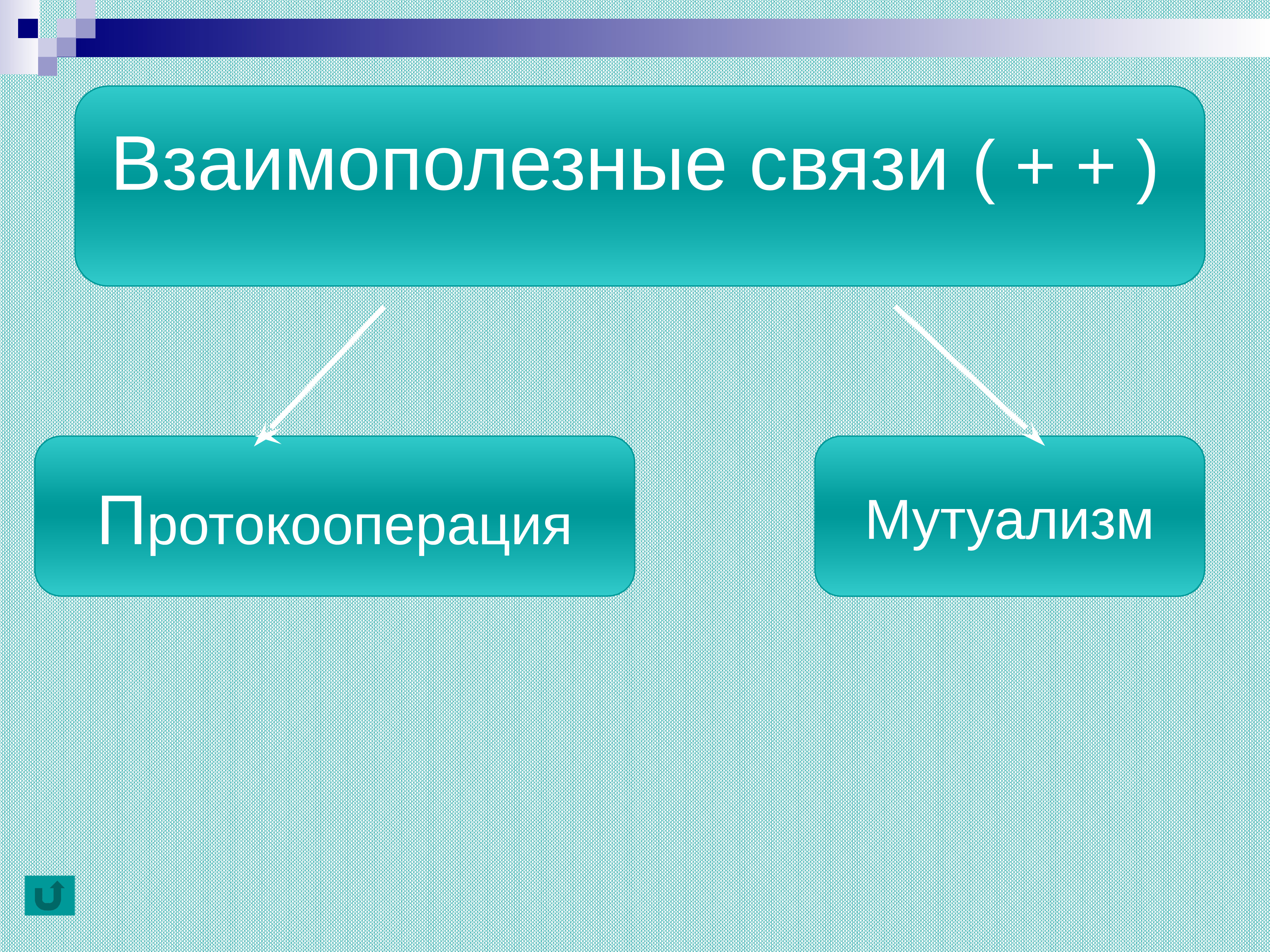 Биотические отношения презентация