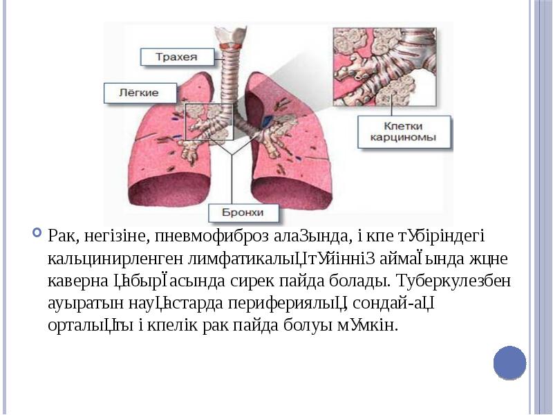 Ауыр тупрагын енел булсын картинки