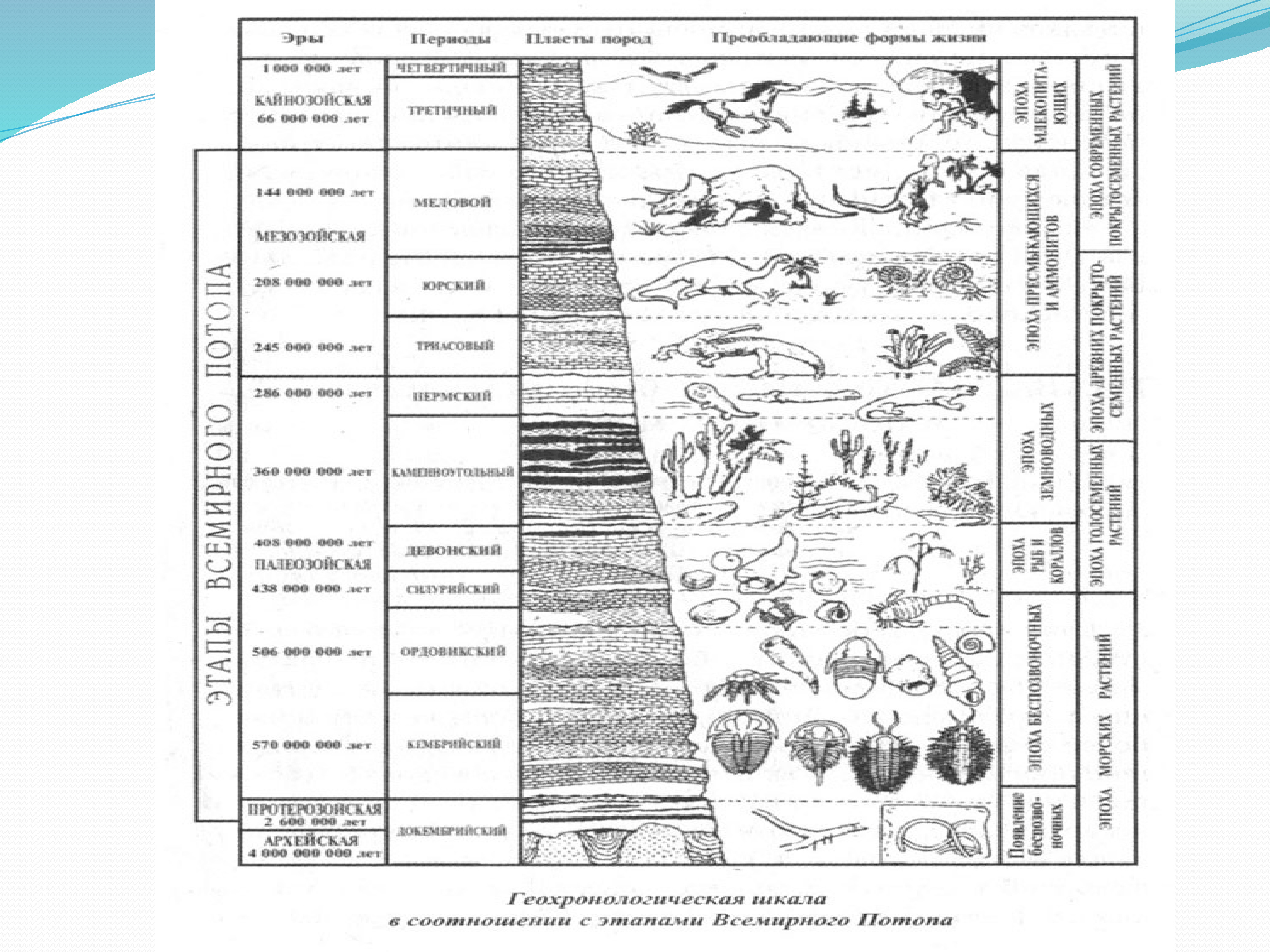 Эры возникновения жизни. Этапы эволюции жизни на земле биология. Геохронологическая таблица биология 11 класс. Геохронологическая шкала земли.