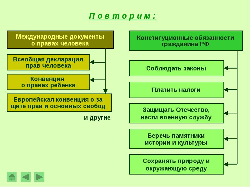 План гражданские права и свободы граждан и механизмы их