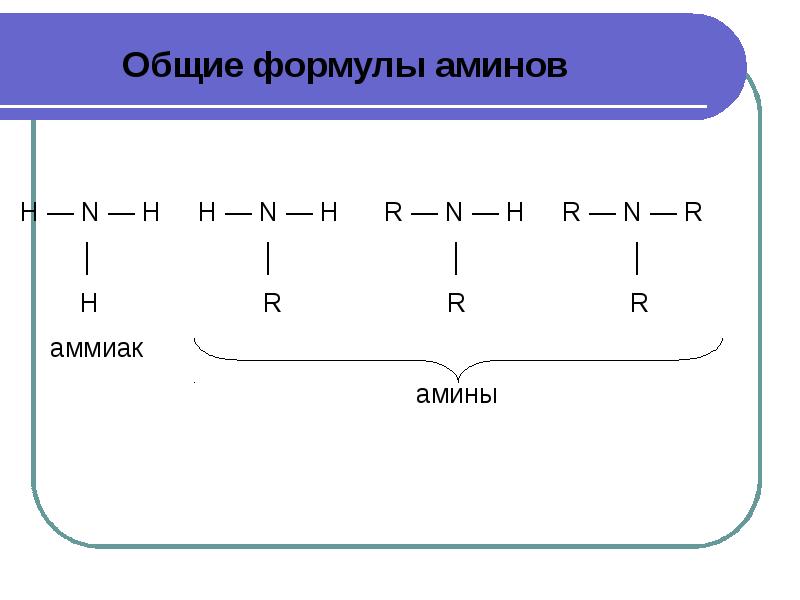 Азотсодержащие органические соединения амины презентация