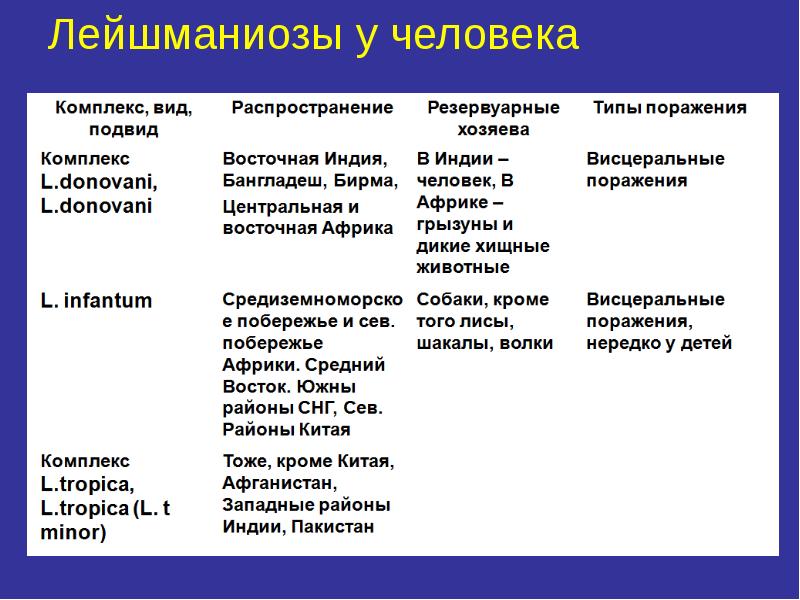 Медицинская протозоология презентация