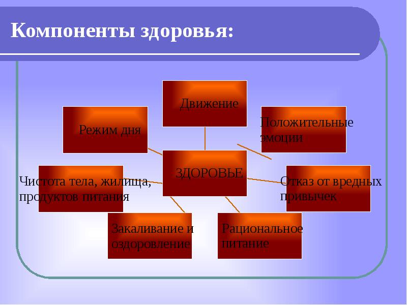 Компоненты здоровья человека