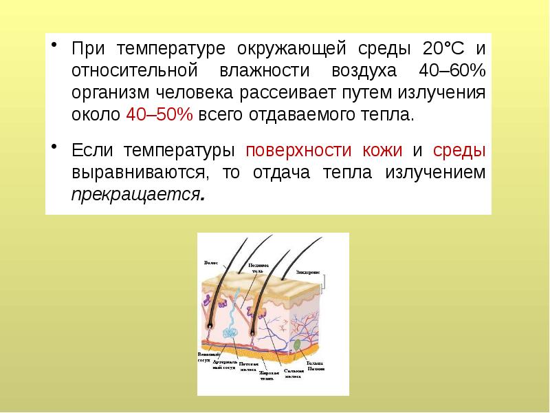 Тепловой обмен организма со средой. Излучение тепла с поверхности кожи. Влажность кожи при температуре. Температура окружающей поверхности.