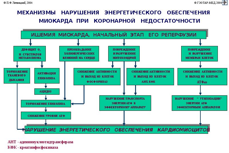 Синдром коронарной недостаточности презентация - 96 фото