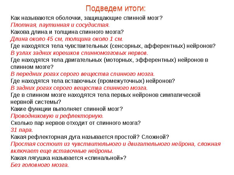 Защита спинного мозга. Как называется футляр защищающий спинной мозг. Как называется футляр защищающий спинной мозг. Корешок с1 спинного мозга. Как называется футляр защищающий спинной мозг.