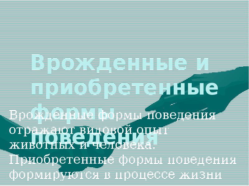 Врожденное и приобретенное поведение животных. Врожденное и приобретенное поведение животных